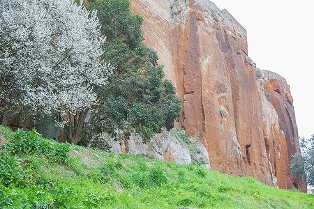 Scogliera rocciosa con alberi in fiore lungo il Ring of Pride Rock, Orvieto.