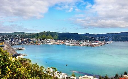 Vista panoramica del porto di Wellington, Nuova Zelanda, con la città e le colline sullo sfondo.