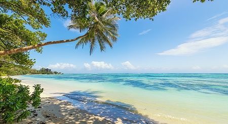 Spiaggia tropicale con palme e mare cristallino a La Digue, Seychelles.