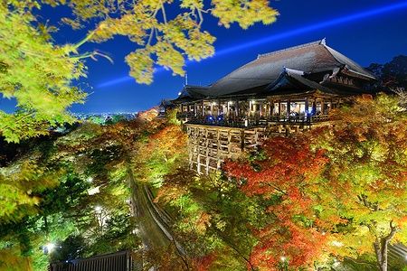 Il tempio Kiyomizu-dera a Kyoto illuminato di notte con foglie autunnali.