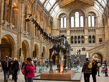 Scheletro di dinosauro nel Natural History Museum di Londra con visitatori intorno.