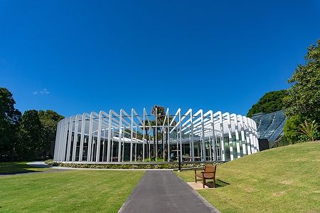 Il The Calyx al Sydney Royal Botanic Garden con cielo blu sullo sfondo.