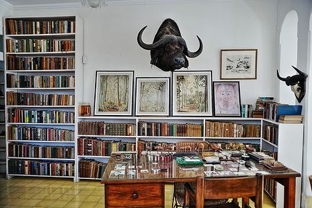 Interno della Finca Vigía con scaffali di libri e testa di bufalo.