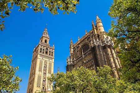 Torre Giralda e tetto della Cattedrale di Siviglia con alberi in primo piano.