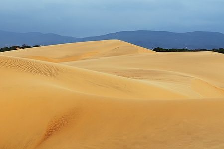 Dune di sabbia dorate nel Parco Nazionale Los Medanos de Coro, Venezuela.