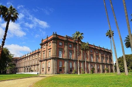 Il Palazzo del Museo Nazionale di Capodimonte a Napoli con palme e cielo blu.