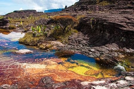 Stagno sulla vetta del Roraima Tepui nella Gran Sabana, Venezuela.