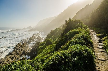 Sentiero lungo la costa rocciosa nel Tsitsikamma National Park, Sudafrica.
