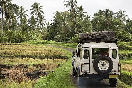 Una jeep in una piantagione di riso con palme in Indonesia.