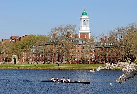 Persone che remano sul fiume Charles di fronte a Harvard in primavera.