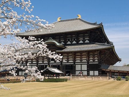 Tempio Todai-ji a Nara con ciliegi in fiore in primavera.