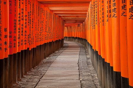 Torii rossi al santuario Fushimi Inari Taisha a Kyoto, Giappone.
