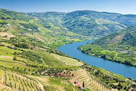 Vista sui vigneti terrazzati della Valle del Douro in Portogallo con il fiume che scorre tra le colline.
