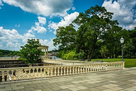 Viali e alberi rigogliosi a Fairmount Park, Philadelphia, in una giornata soleggiata.