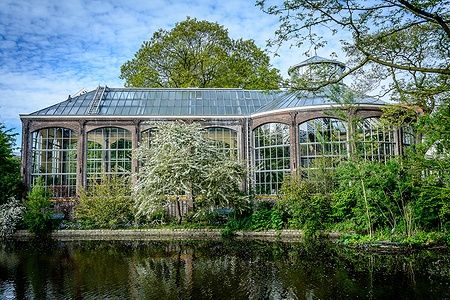 Hortus Botanicus di Amsterdam con struttura di vetro circondata da piante.
