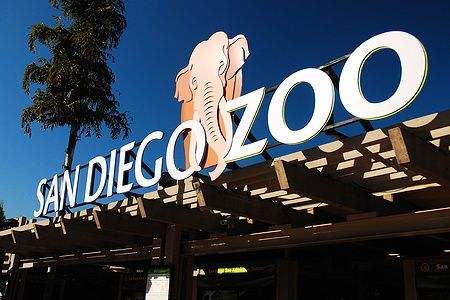L'ingresso del San Diego Zoo con l'insegna e un elefante disegnato.