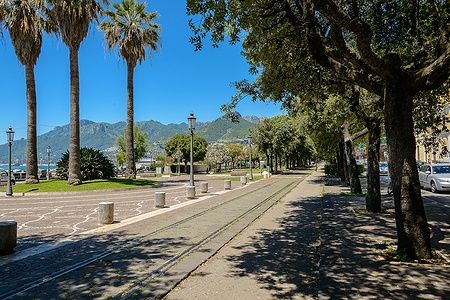 Lungomare Trieste a Salerno, alberi e palme sotto il sole estivo.