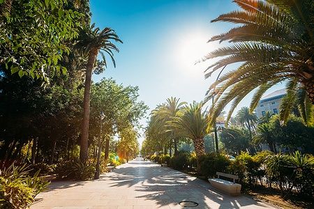 Passeggiata con palme e vegetazione lungo il Paseo del Parque a Málaga, Spagna.