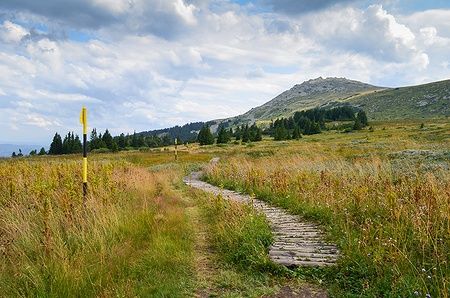 Sentiero di legno tra i prati di Vitosha Mountain sotto un cielo nuvoloso.
