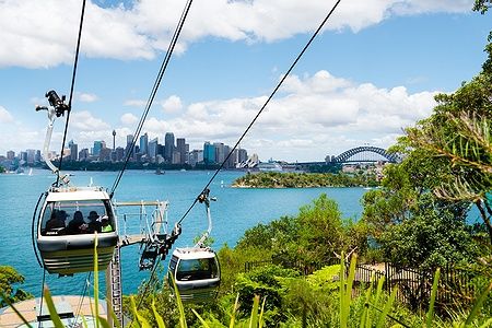 Il Sky Safari al Taronga Zoo di Sydney con vista sulla città e Harbour Bridge.