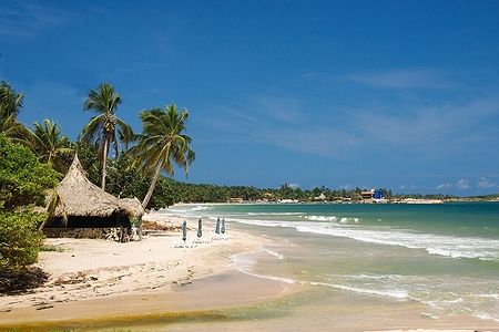 Spiaggia tropicale con capanna e palme su Margarita, Venezuela.