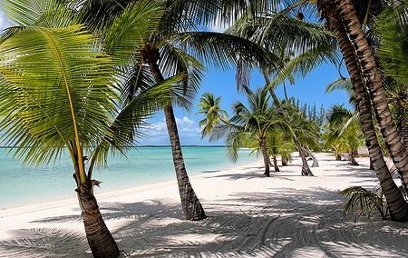 Spiaggia con palme sull'isola di Andros, Bahamas.