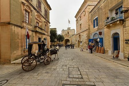 Strada di Mdina, Malta, con calesse e edifici in pietra.