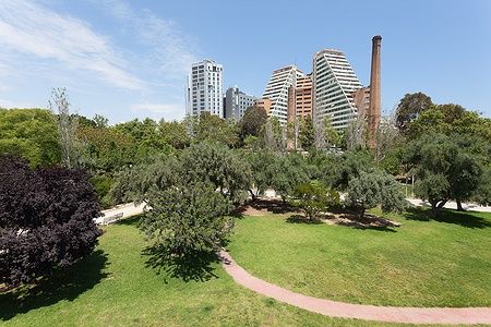 Parco Turia a Valencia con alberi e edifici sullo sfondo.