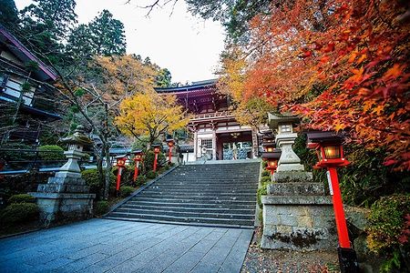 Scala del tempio Kurama-dera a Kyoto con foglie autunnali