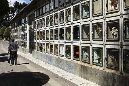 Uomo cammina lungo tombe nel cimitero di La Paz, con fiori visibili nelle cornici.