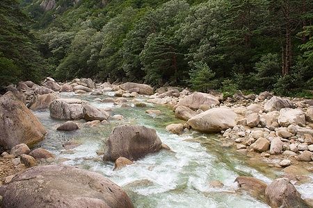 Fiume di montagna con massi nella foresta di Mount Kumgang, Corea del Nord.