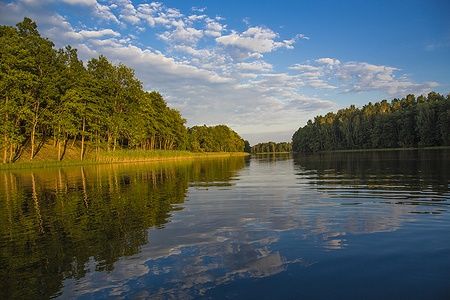 Lago circondato da boschi nel Parco Nazionale Aukštaitija, Lituania.