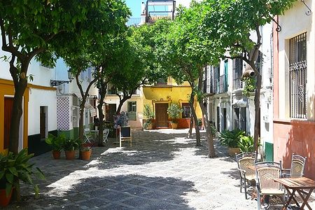 Piccola piazza alberata nel quartiere Santa Cruz di Siviglia con case colorate e tavolini all'aperto.