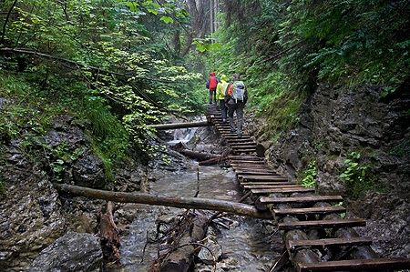 Persone camminano su un ponte di legno nella gorge Sucha Bela, Slovacchia.