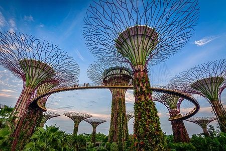 Supertrees nel Gardens by the Bay a Singapore sotto un cielo azzurro.