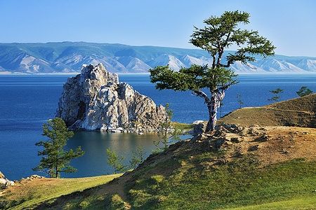 Albero su capo Burhan con lago e montagne sullo sfondo.