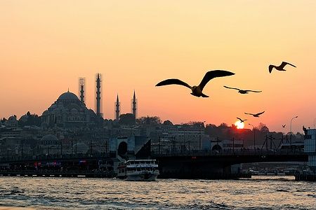 Tramonto su Istanbul con la moschea di Suleymaniye e gabbiani in volo.