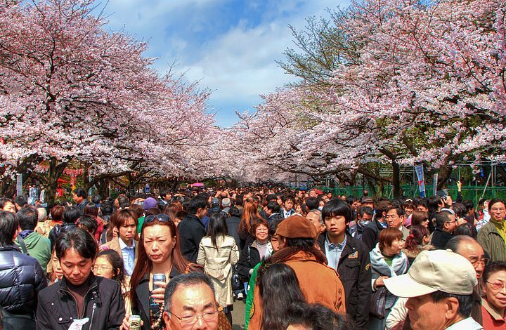 Folla al parco di Ueno