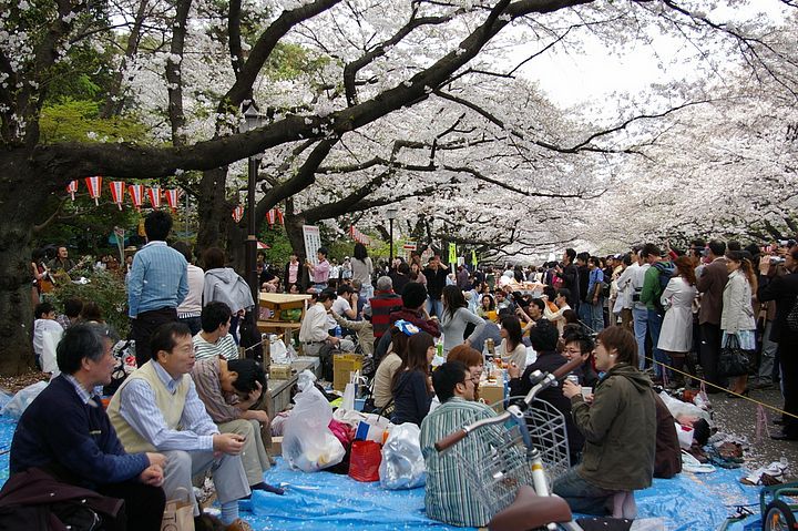 Pic Nic al parco di Ueno