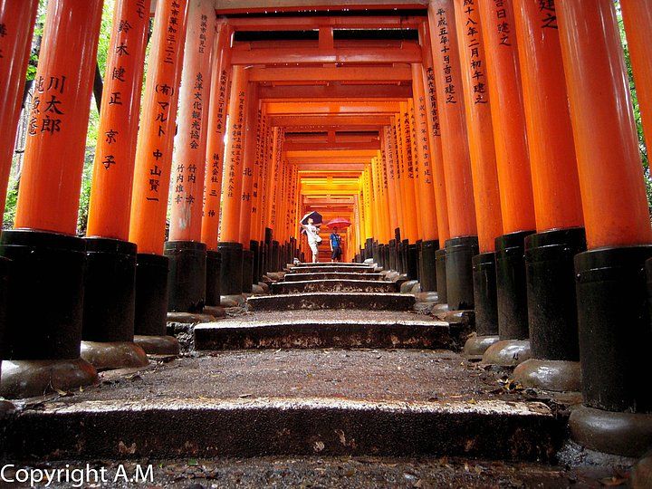 fushimi inari a Kyoto