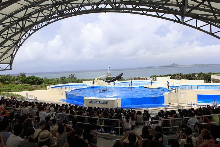 Acquario di Okinawa