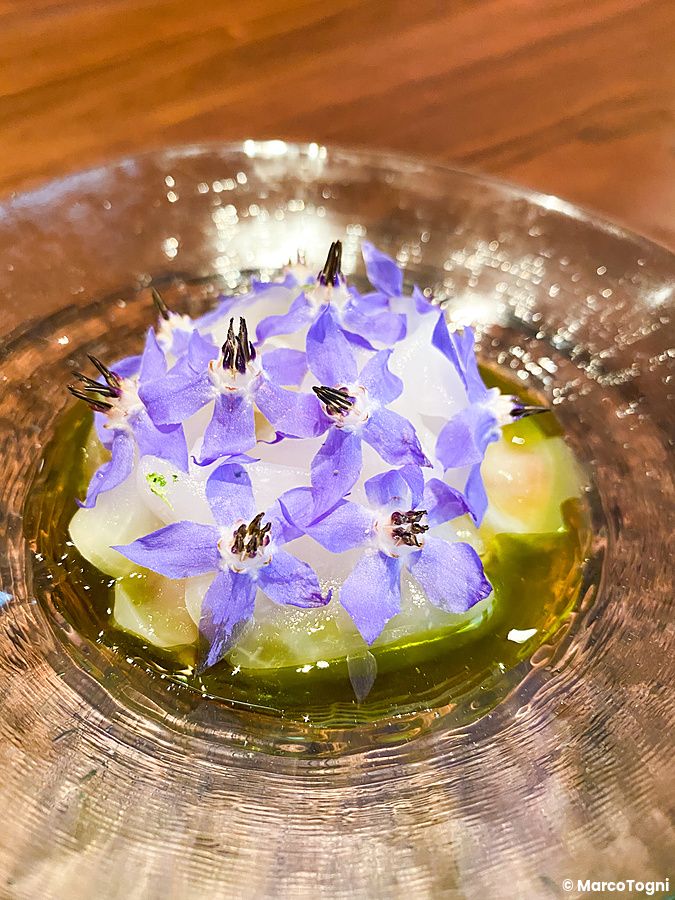 Piatto con cetriolo di mare, rapa e fiori di borragine condito con aceto, servito presso il ristorante La Cime a Osaka.