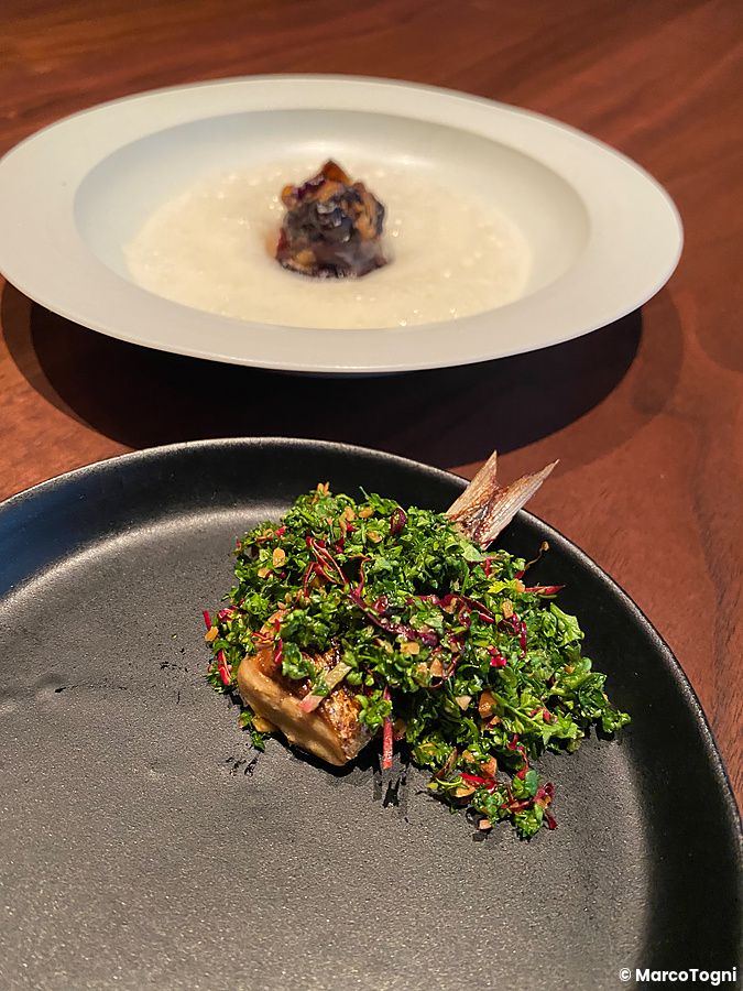 Due piatti gourmet presso La Cime ad Osaka: una sardina grigliata alle erbe e una preparazione a base di radicchio.