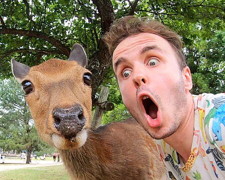 Marco Togni stupito accanto a un cervo nel parco di Nara.