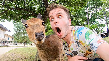 Marco Togni sorpreso accanto a un cervo nel parco di Nara.