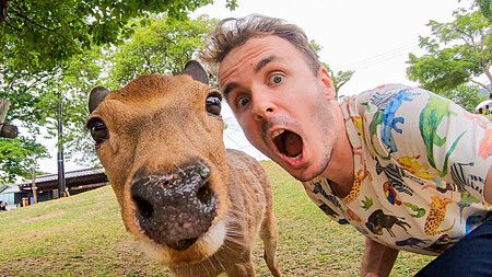 Marco Togni e cervo posano insieme al parco di Nara.