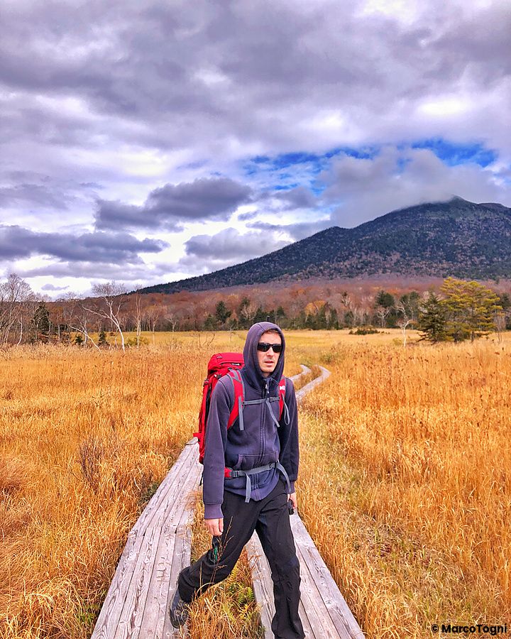 Persona cammina su passerella di legno nel Parco Nazionale di Oze in autunno.