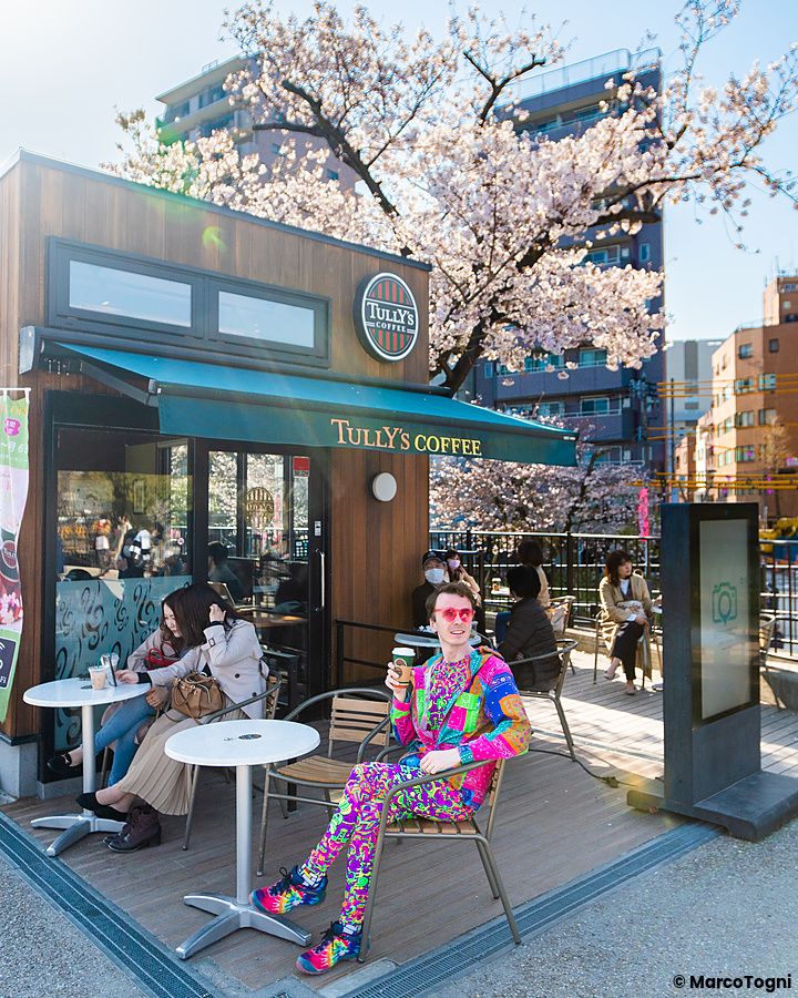 Persona colorata seduta fuori da Tully's coffee ad Asakusa con ciliegi in fiore.