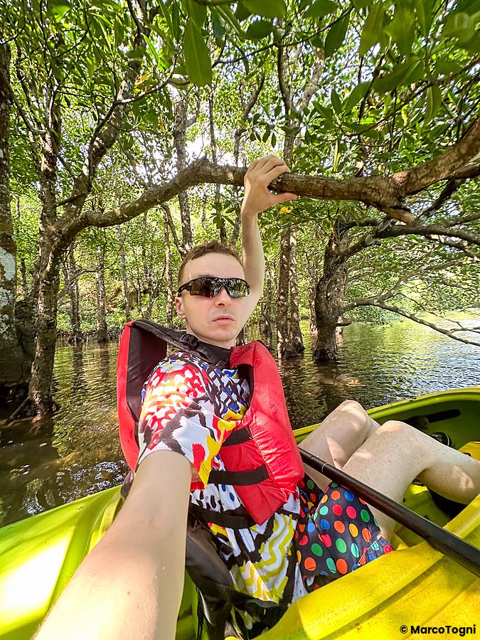 Persona in canoa tra le mangrovie dell'Isola di Iriomote.