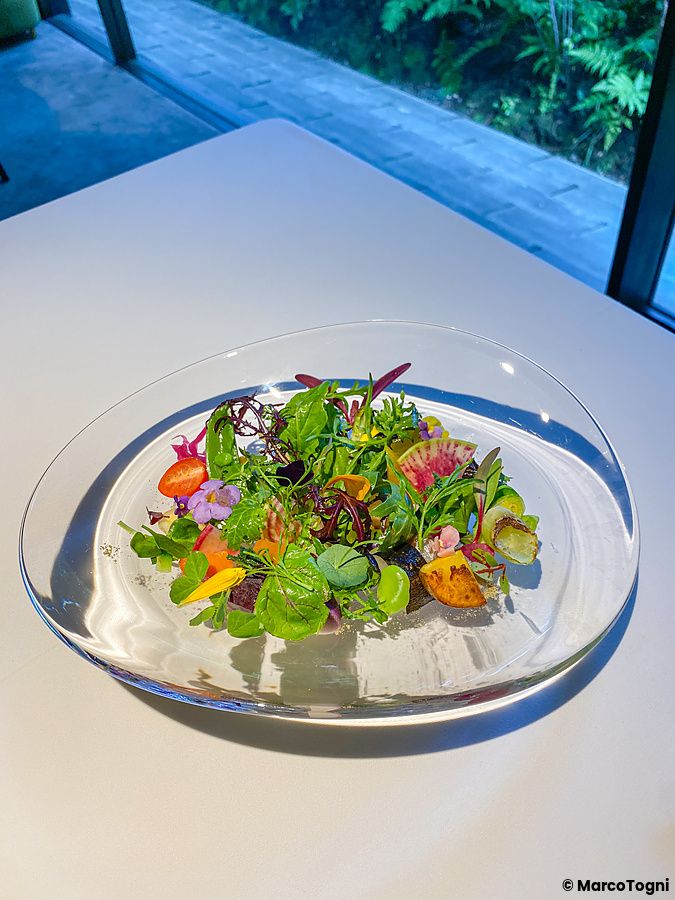 Un'insalata fatta con circa 60 verdure diverse servita in un piatto di vetro su un tavolo bianco a L'Effervescense.